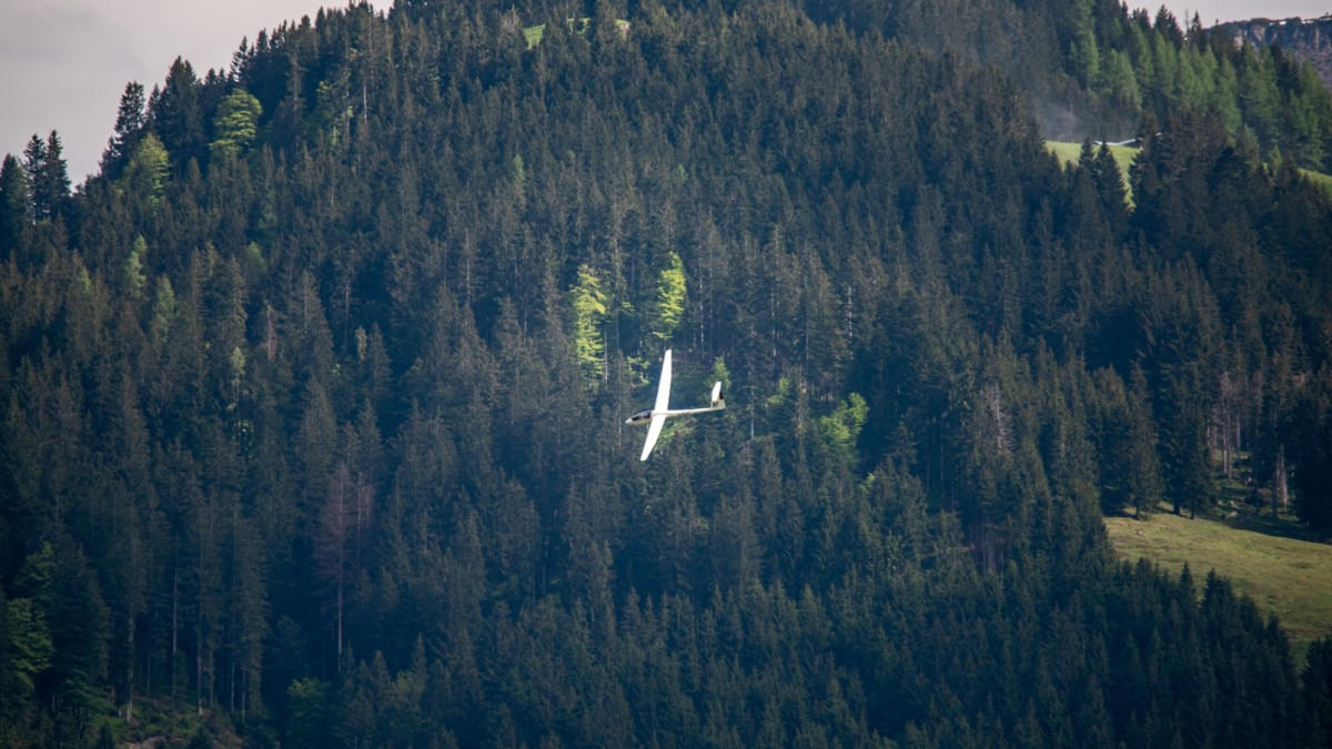 8F-Ldg_Wald(1)
